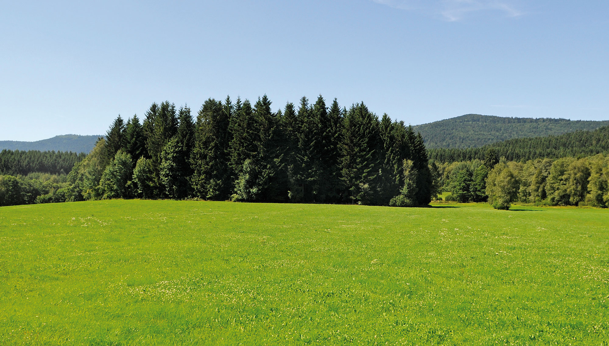 herrliche Natur in der Urlaubsregion Bayerischer Wald